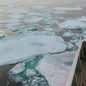 Sea ice