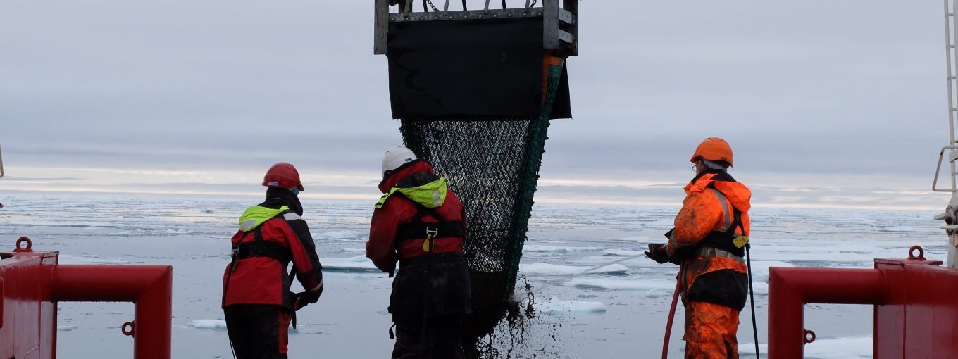 Sian Henley, ChAOS and Arctic PRIZE