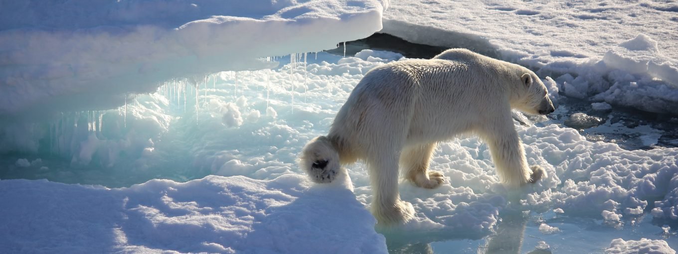 Dr Emily Venables, Arctic PRIZE