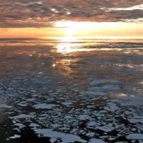 Biogeochemical Consequences of Climate-Driven Changes in the Arctic